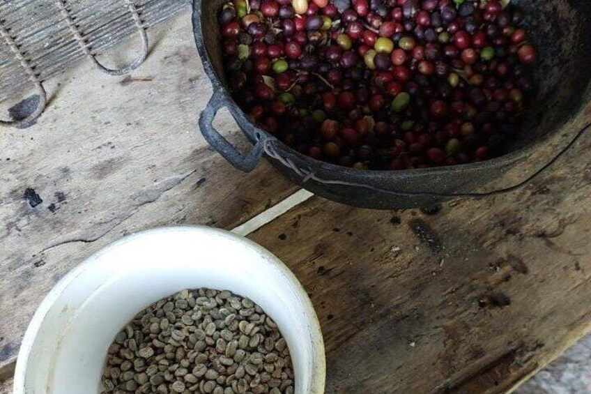 3 Day Private Tour Authentic Coffee Experience in Colombia