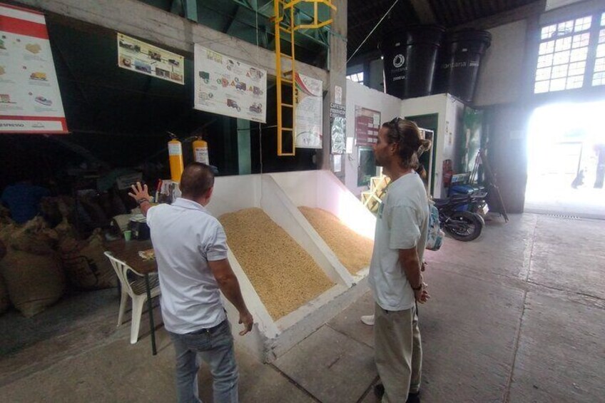 3 Day Private Tour Authentic Coffee Experience in Colombia