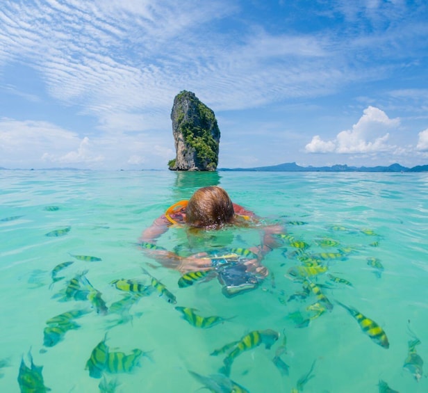 Picture 2 for Activity Phuket: Phi Phi, Maya Bay Include Transfer & Sea View Lunch