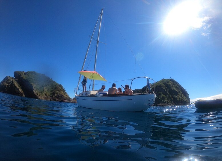 Picture 1 for Activity São Miguel: Island Highlights Private Tour by Boat and Van