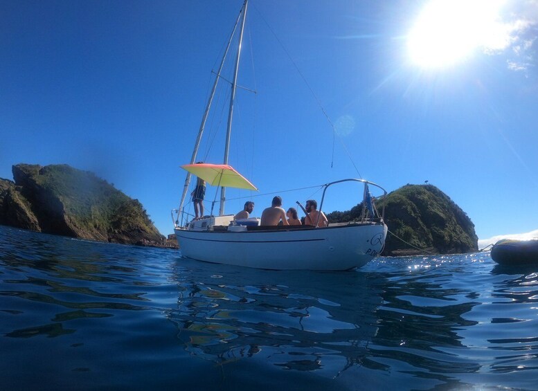 Picture 2 for Activity São Miguel: Island Highlights Private Tour by Boat and Van