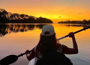 Opastettu Sundowner-kajakkikierros