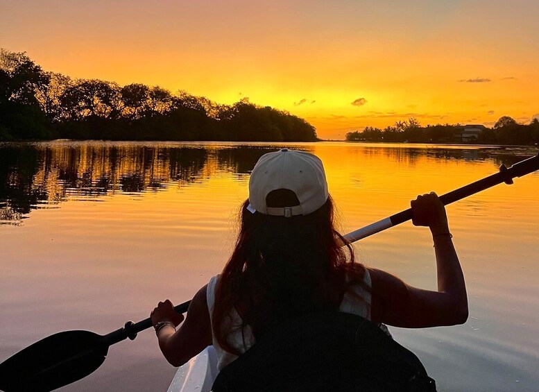 Guided Sundowner Kayak Tour