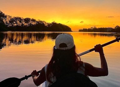 Visite guidée en kayak au coucher du soleil