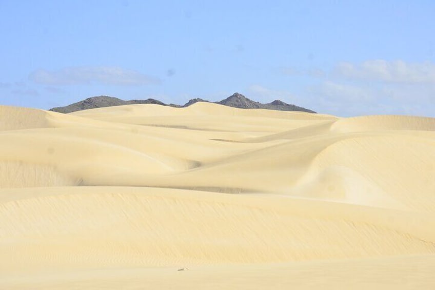 Sand from Sahara at Viana desert 