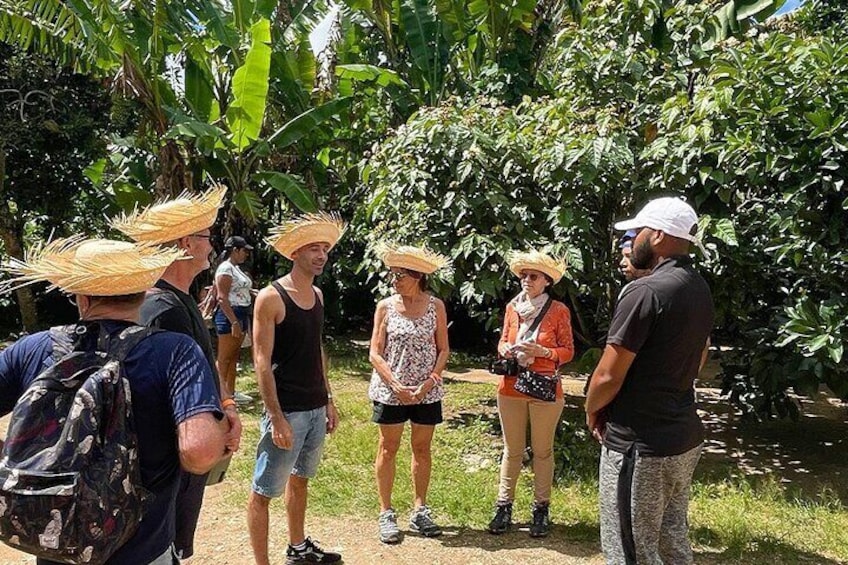 2-Day Private Tour of the Coffee Route