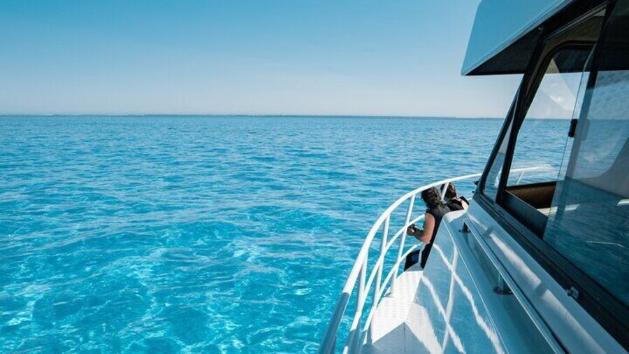 7 Hours Off Peak Whale Shark and Ningaloo Reef Tour in Exmouth