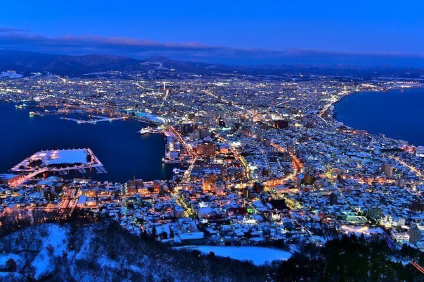 Port Pick-Up Hakodate Private Tour with Licensed Guide