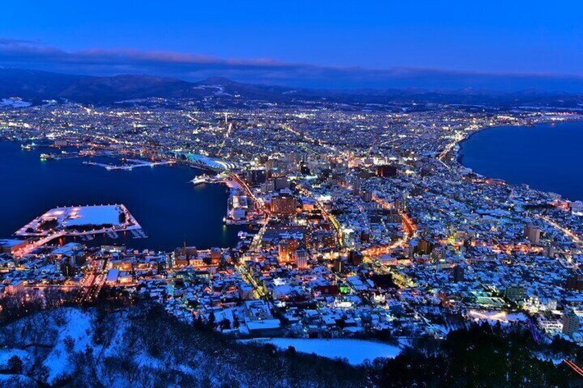 Port Pick-Up Hakodate Private Tour with Licensed Guide