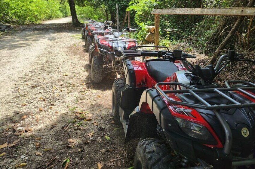 2 Hours ATV Jungle, Caverns and Mayan Ruins Tour