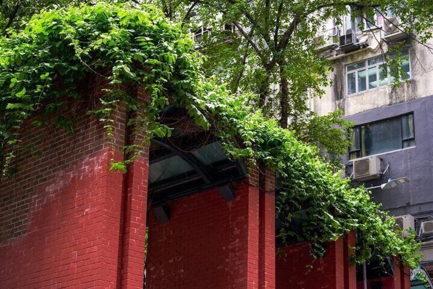 Private Tour in Kowloon's Shadows Hongkong Unveiling Darkside