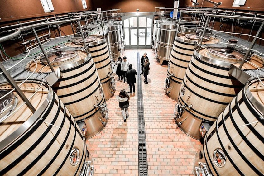 Picture 1 for Activity Bordeaux: St-Emilion and Medoc Wine Day Tour with Lunch