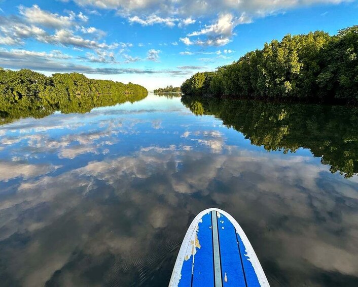 Picture 5 for Activity Mauritius: Guided Stand Up Paddle Tour on Tamarin River