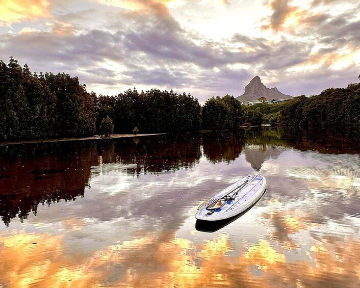 Picture 7 for Activity Mauritius: Guided Stand Up Paddle Tour on Tamarin River