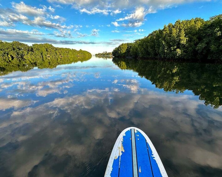 Picture 5 for Activity Mauritius: Guided Stand Up Paddle Tour on Tamarin River