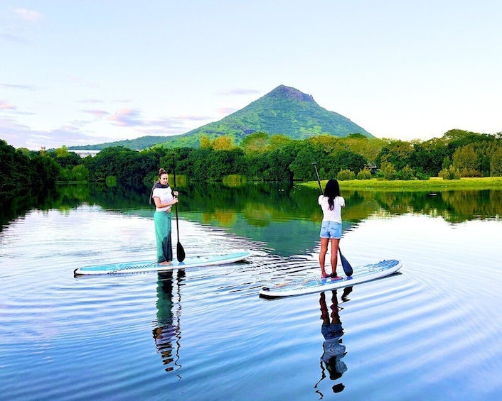 Picture 2 for Activity Mauritius: Guided Stand Up Paddle Tour on Tamarin River