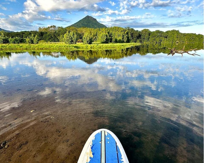 Picture 1 for Activity Mauritius: Guided Stand Up Paddle Tour on Tamarin River