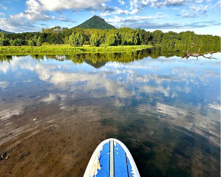 Picture 1 for Activity Mauritius: Guided Stand Up Paddle Tour on Tamarin River