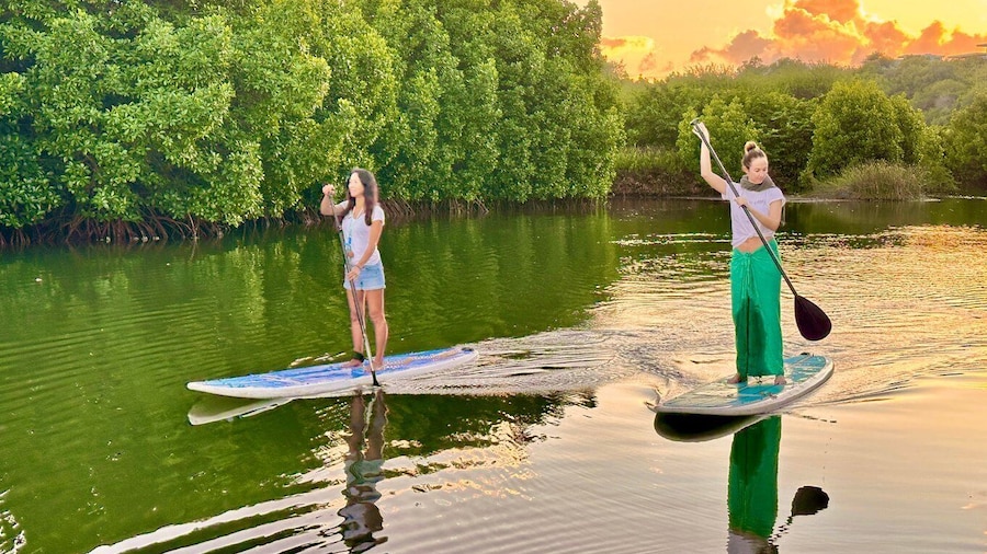 Mauritius: Guided Stand Up Paddle Tour on Tamarin River