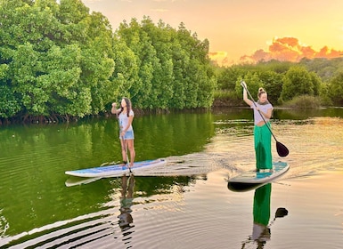 Maurice : visite guidée en stand up paddle sur la rivière Tamarin