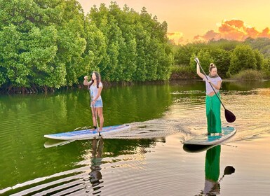 Maurice : visite guidée en stand up paddle sur la rivière Tamarin