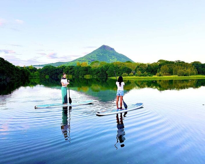 Picture 2 for Activity Mauritius: Guided Stand Up Paddle Tour on Tamarin River