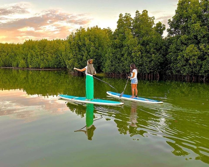 Picture 3 for Activity Mauritius: Guided Stand Up Paddle Tour on Tamarin River