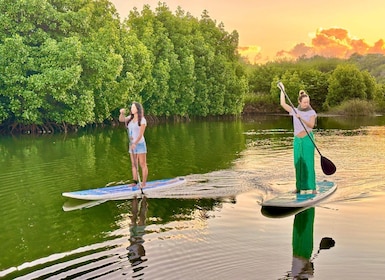 Mauritius: begeleide stand-up paddle-tocht op de rivier de Tamarin