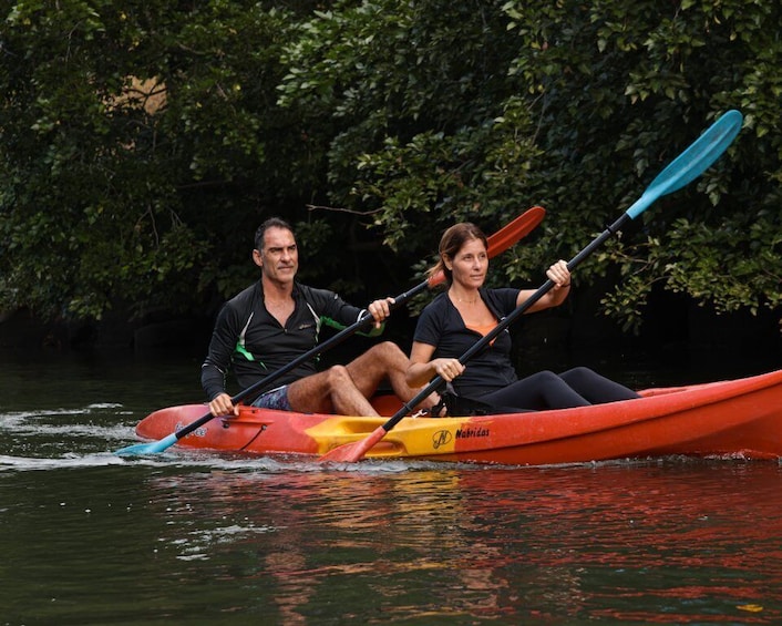Picture 3 for Activity Mauritius: Guided Kayak Tour on Tamarin River