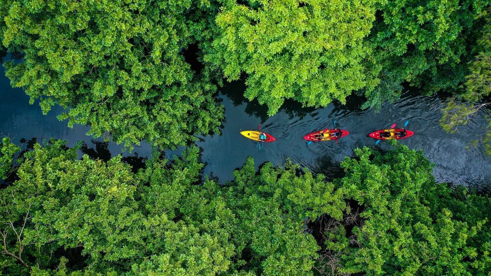 Mauritius: Guided Kayak Tour on Tamarin River