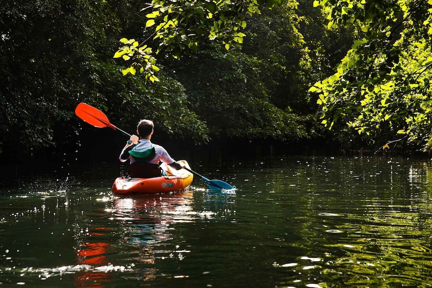 Picture 1 for Activity Mauritius: Guided Kayak Tour on Tamarin River