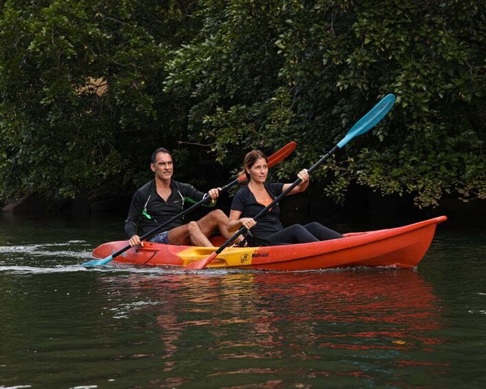 Picture 3 for Activity Mauritius: Guided Kayak Tour on Tamarin River