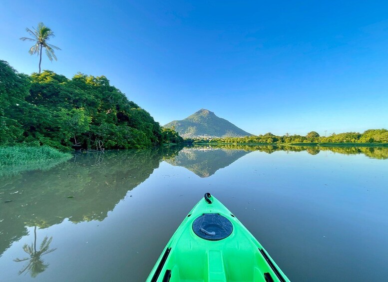 Picture 7 for Activity Mauritius: Guided Kayak Tour on Tamarin River