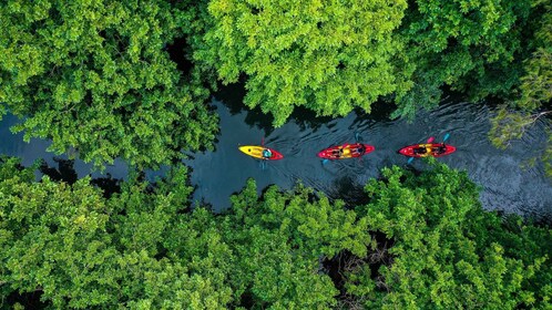 Mauritius: Geführte Kajaktour auf dem Tamarin River