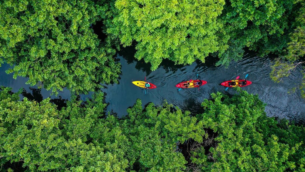 Mauritius: Guided Kayak Tour on Tamarin River