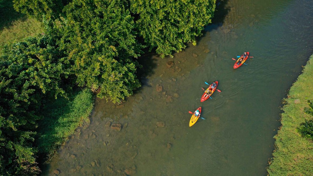 Picture 4 for Activity Mauritius: Guided Kayak Tour on Tamarin River