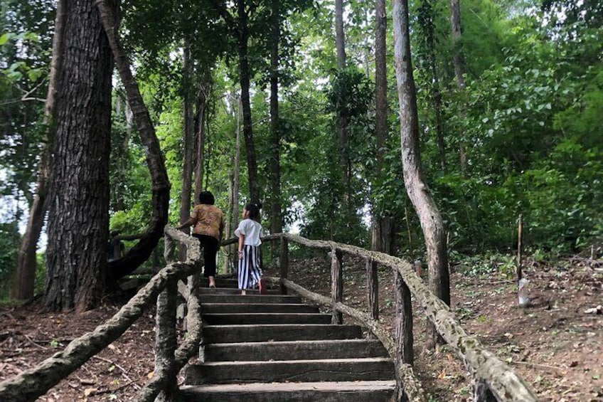 Private Doi Suthep, Pha Lat Temple and Sticky Waterfall Tour