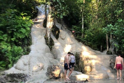 Doi Suthep Temple, Pha Lat Temple, Sticky Waterfall, Orchid farm