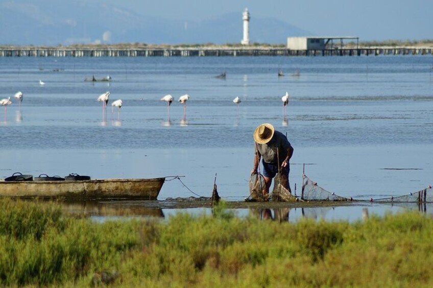 Bird Watching Tour in the Ebro Delta