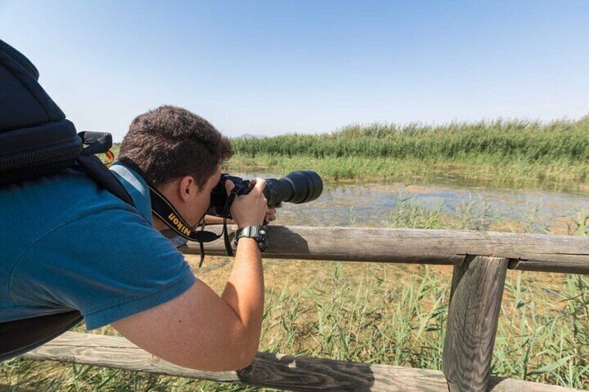 Bird Watching Tour in the Ebro Delta