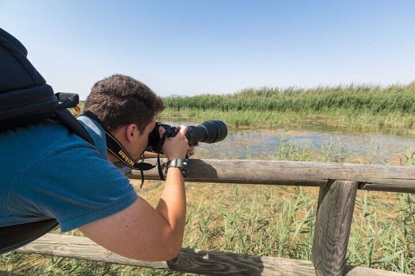 Bird Watching Tour in the Ebro Delta