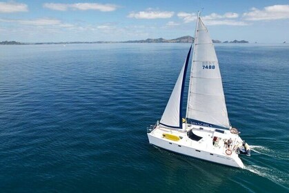 Private Catamaran Sailing Charter | Bay Of Islands