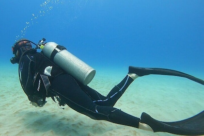 Try Scuba Diving from Electric Beach Oahu