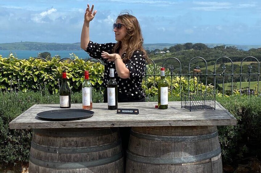 Waiheke Island - Mudbrick rooftop wine tastings