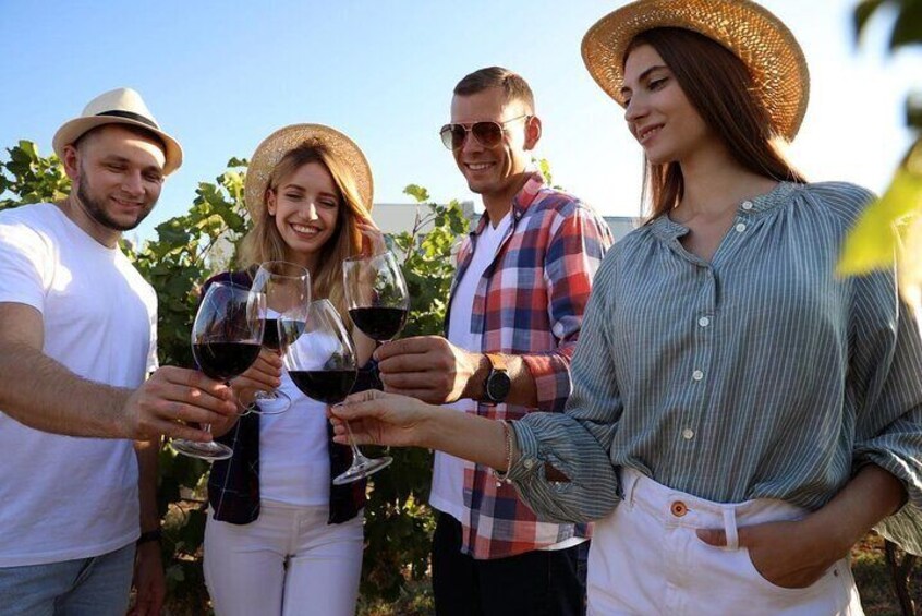 Discover Essence of Cyprus Wines: Private Tsangarides Winery Tour