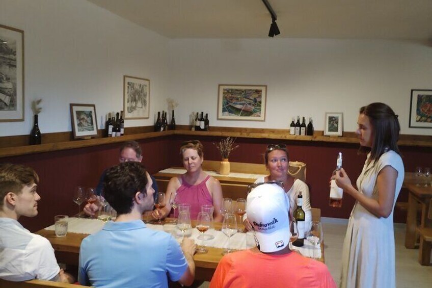 Ston's Bite of Delight: Škurla Winery's Wine & Snack