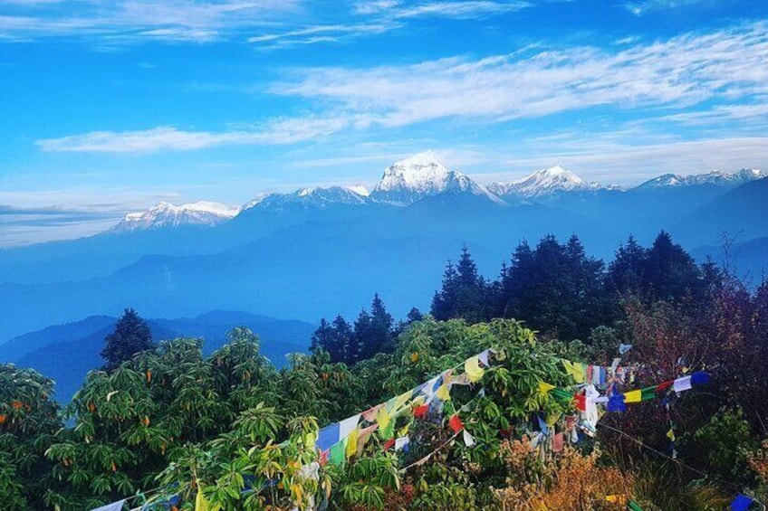 11-Day Hike Tour to Annapurna Base Camp Bliss in Kathmandu