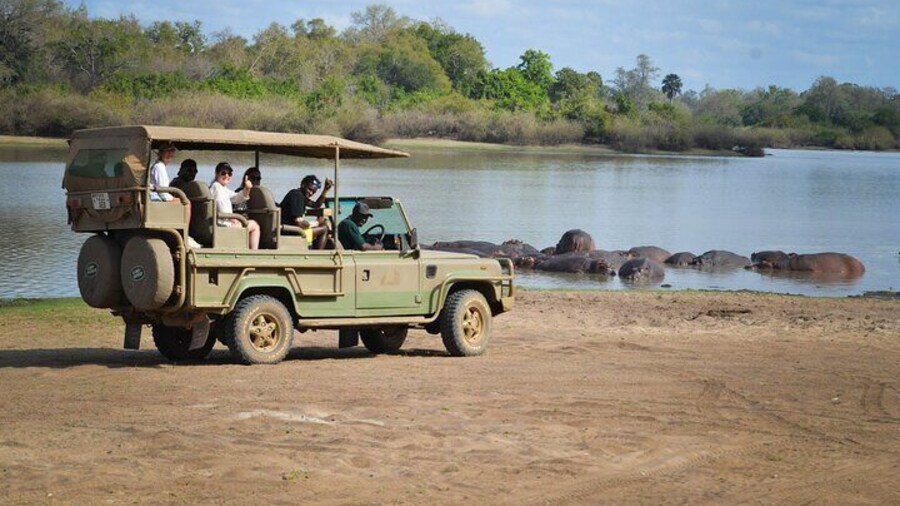 Day Safari Tour Selous Game Reserve