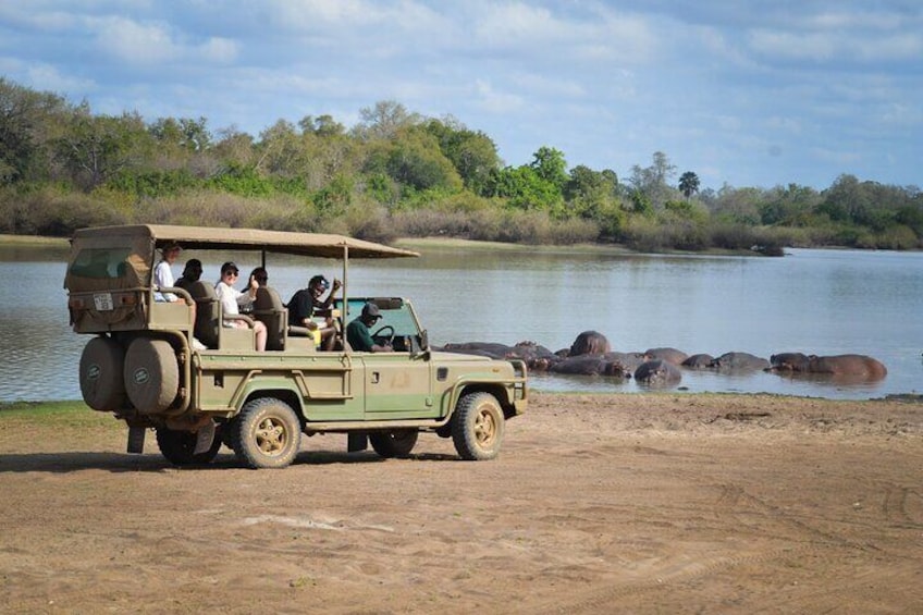 Day Safari Tour Selous Game Reserve