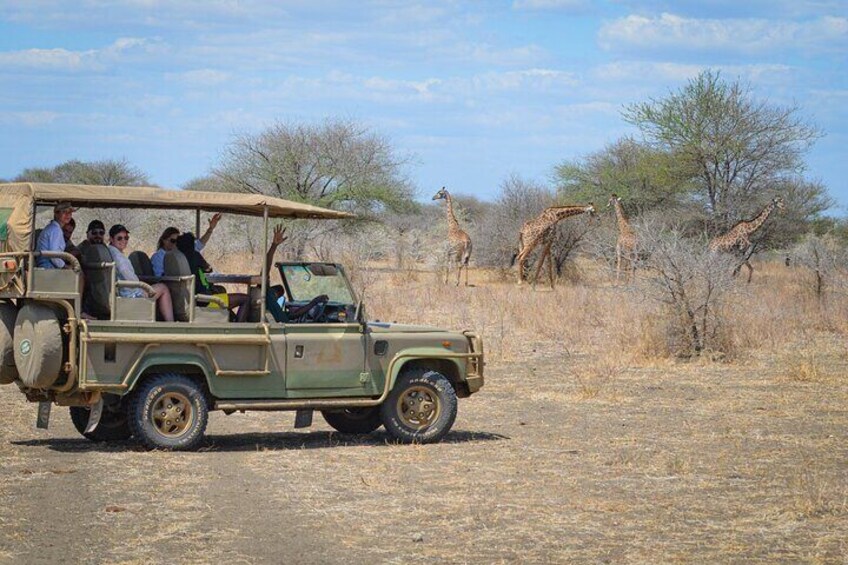 Day Safari Tour Selous Game Reserve
